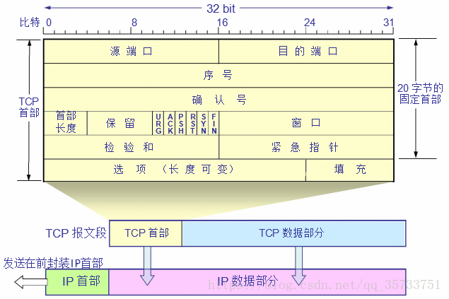 tcp-1